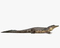 Mississippi-Alligator 3D-Modell