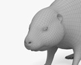 사향쥐 3D 모델 