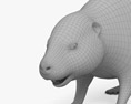사향쥐 3D 모델 