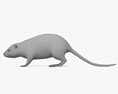 Rat musqué Modèle 3d
