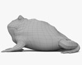 Argentine Horned Frog Modello 3D