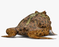 鐘角蛙 3D模型