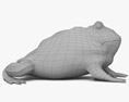 Argentine Horned Frog 3d model