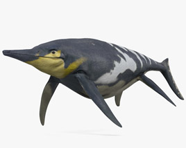 Shonisaurus Modelo 3d