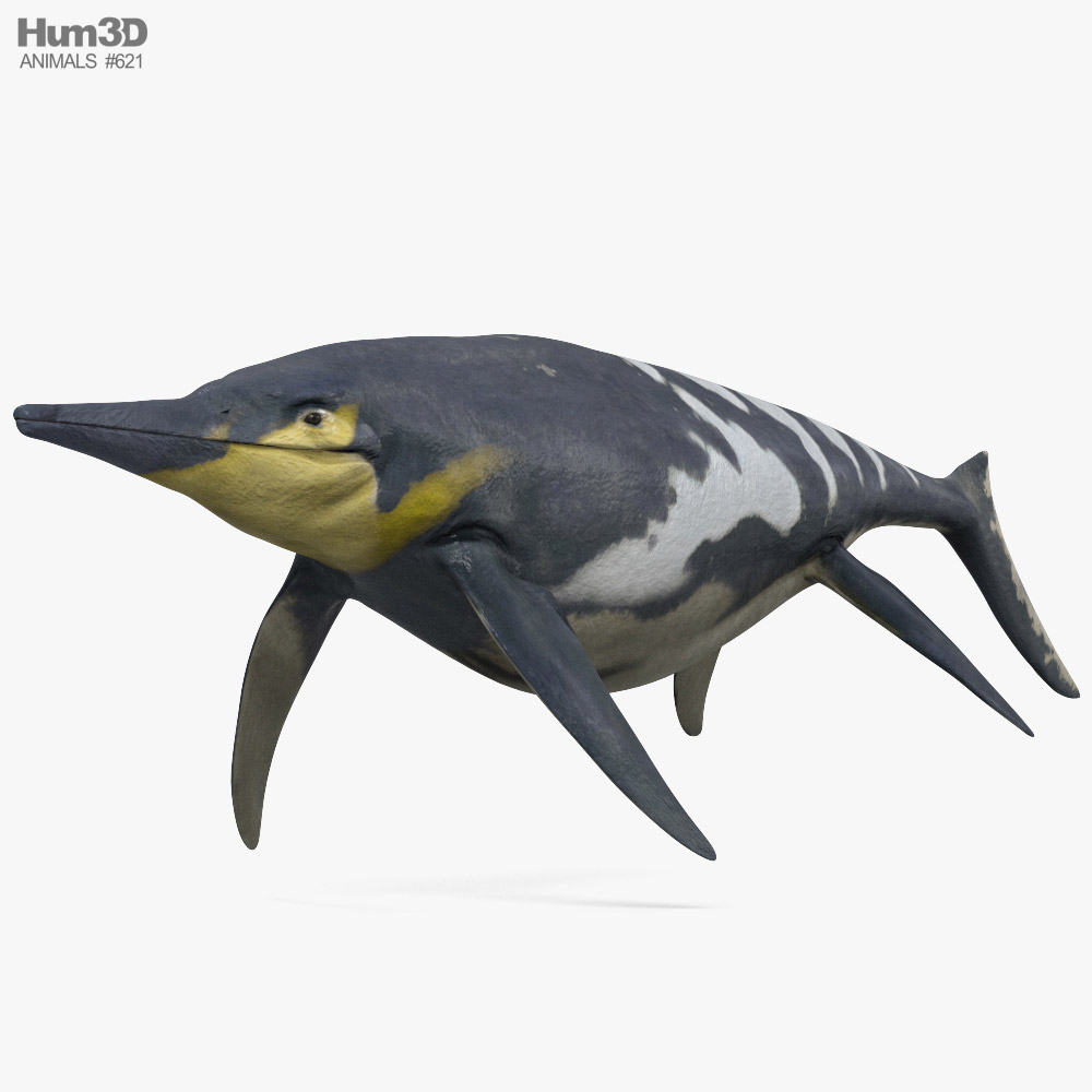Shonisaurus 3D model