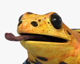 Poison Dart Frog 3d model