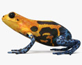 Poison Dart Frog 3d model