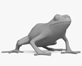 Poison Dart Frog Modèle 3d