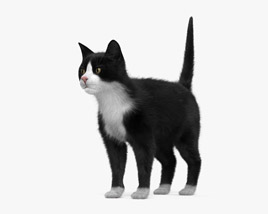 Tuxedo Cat 3D 모델 