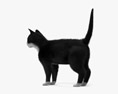 Tuxedo Cat Modello 3D