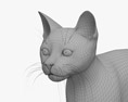 Tuxedo Cat Modello 3D