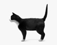 Tuxedo Cat Modelo 3D