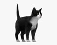 Tuxedo Cat 3D модель