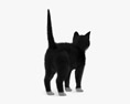 Tuxedo Cat 3d model