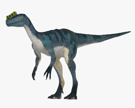 Proceratosaurus Modello 3D