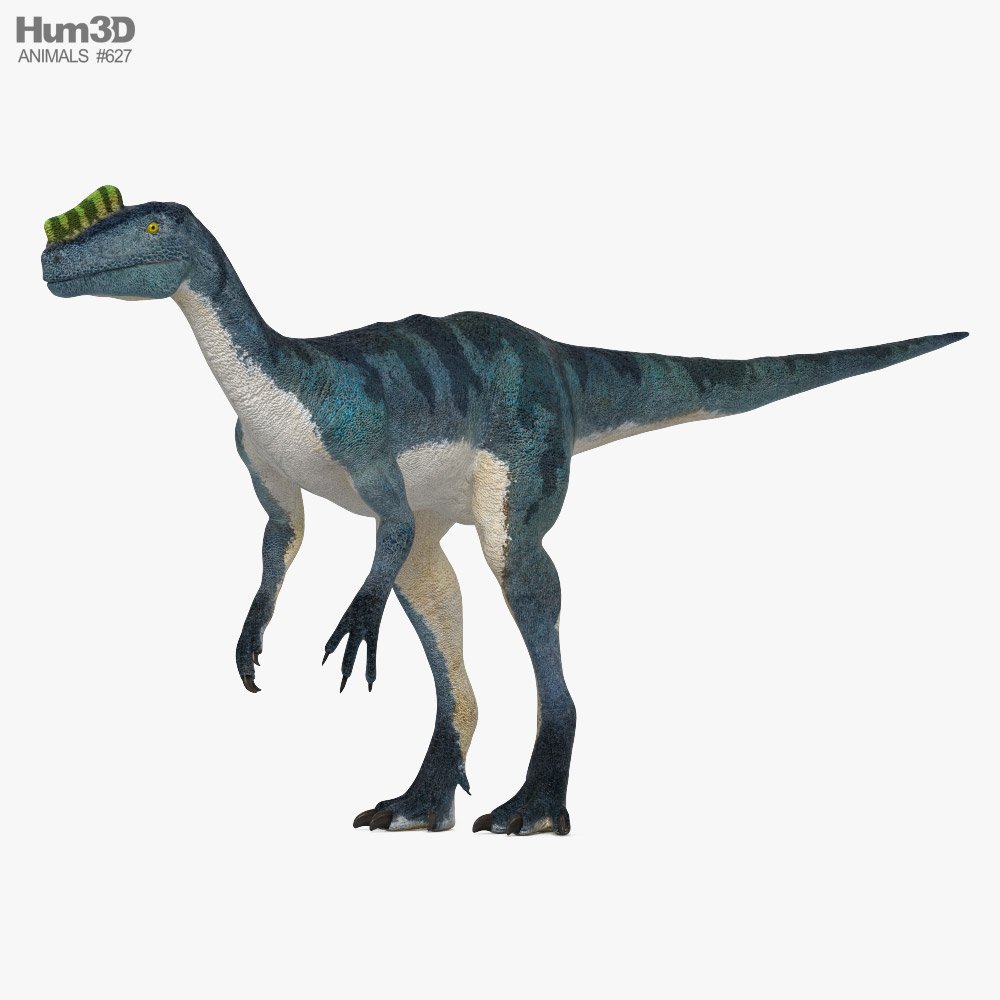 Proceratosaurus 3D model