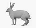 歐洲野兔 3D模型