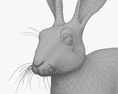 Заєць сірий 3D модель