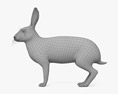European Hare Modello 3D