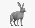 European Hare Modelo 3D