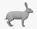 ヤブノウサギ 3Dモデル