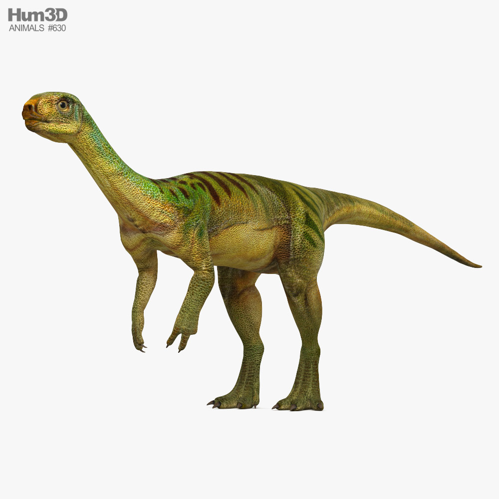 Chilesaurus Modèle 3D