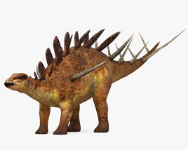 Kentrosaurus Modello 3D