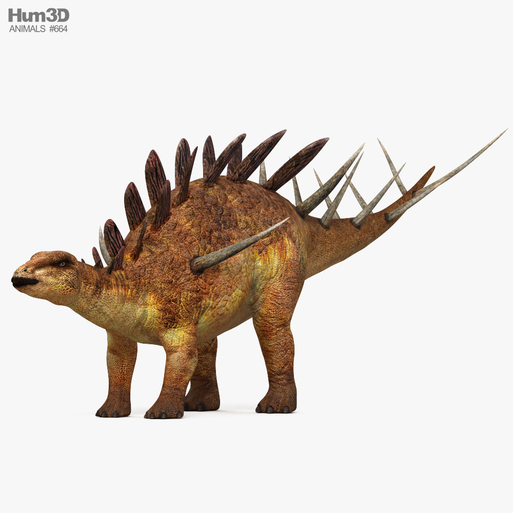 Kentrosaurus Modello 3D