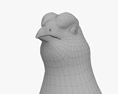 Gallo lira común Modelo 3D