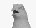 Gallo lira común Modelo 3D