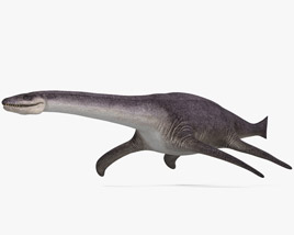Attenborosaurus Modelo 3D