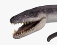 Attenborosaurus 3D модель