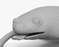 Glatter Krallenfrosch 3D-Modell