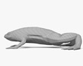 Glatter Krallenfrosch 3D-Modell