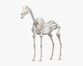 Esqueleto de Cavalo Modelo 3d