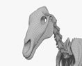 Horse Skeleton 3d model