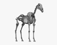 馬の骨格 3Dモデル