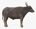 Wild Water Buffalo 3D-Modell