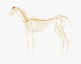 Sistema Nervoso do Cavalo Modelo 3d