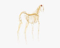 Horse Nervous System 3D模型