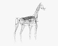 Лимфатическая система лошади 3D модель