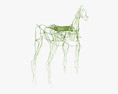 Sistema linfático del caballo Modelo 3D