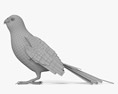 雞尾鸚鵡 3D模型