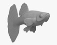 孔雀鱼 3D模型