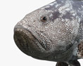 Malabar Grouper 3D модель