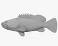 Malabar Grouper 3d model