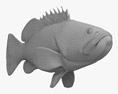 Malabar Grouper Modello 3D