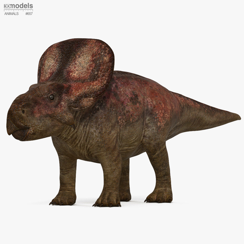 Protoceratops 3d model