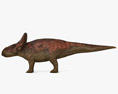 Protoceratops 3d model