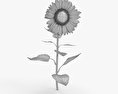Sunflower 3d model